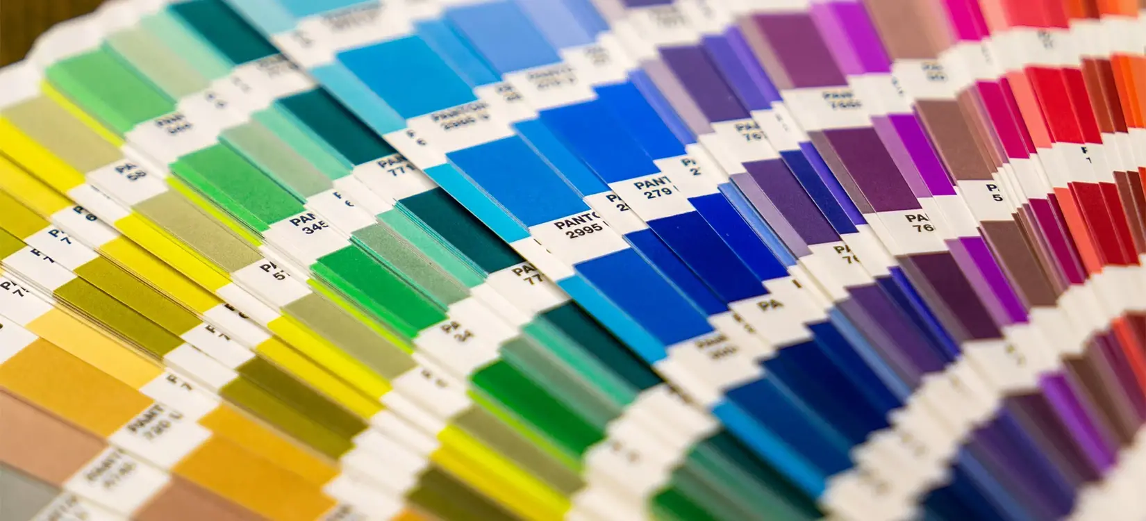Erfahren Sie jetzt mehr über die Farbsysteme RGB, CMYK sowie Pantone und lernen Sie, wie Sie mithilfe der richtigen Farbe das Ihre Designs optimieren!
